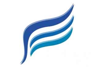 Logo France BIA cours initiation aéronautique aérospatiale en ligne internet