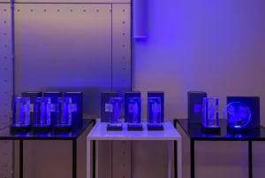 Ceremonie du prix des femmes de laero et du spatial 2025. x.Bejot 2