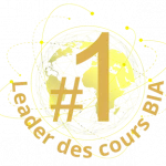 leader mondial cours brevet initiation aéronautique france BIA