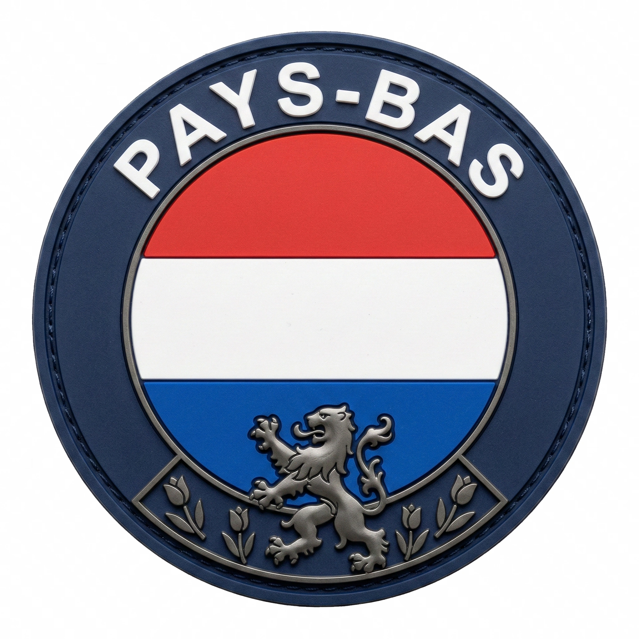 Formation aéronautique aux Pays-Bas — KLM Engineering & Maintenance, Fokker, TU Delft, NLR