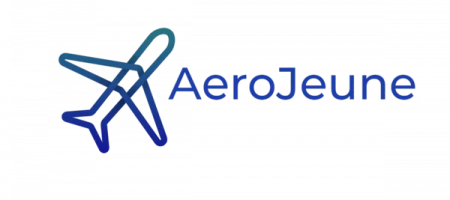 aerojeune cours BIA live ingénieur enseignement en direct visio classe virtuelle